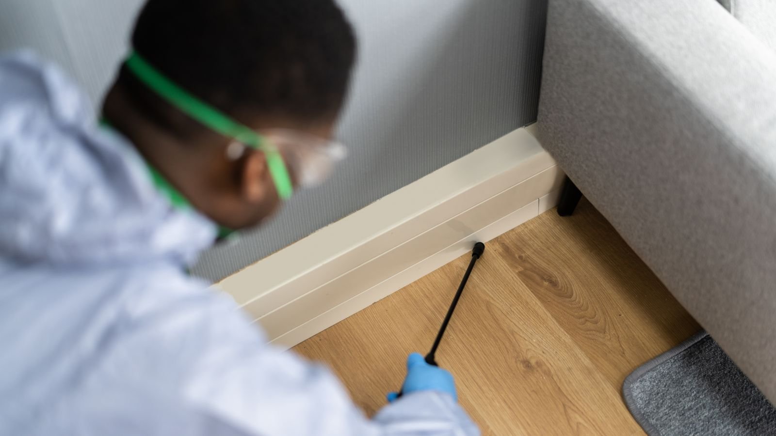 Pest Control Services